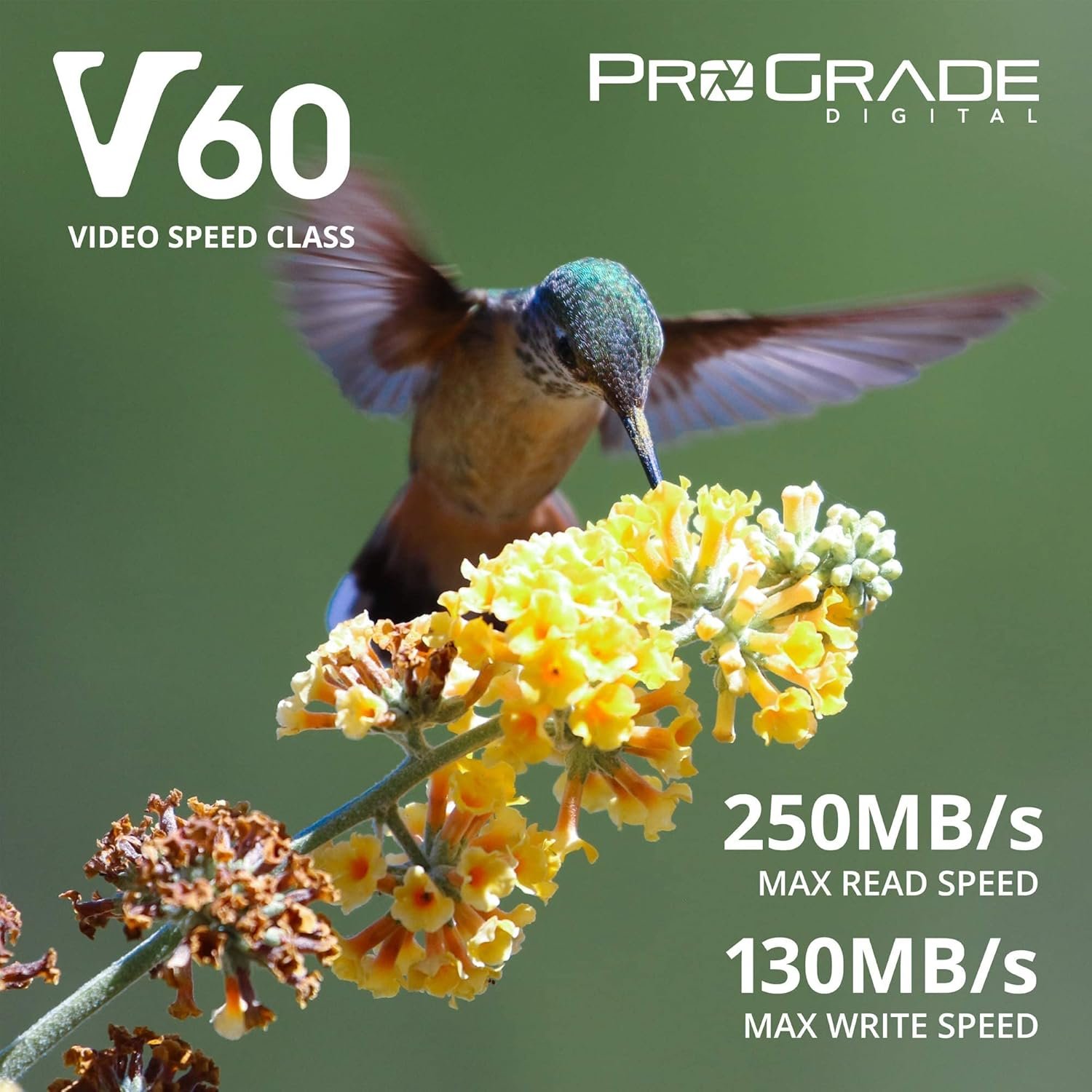 ProGrade Digital SDXC UHS-II 128GB V60 Memory Card (Up to 250MB/s Read, 130MB/s Write)