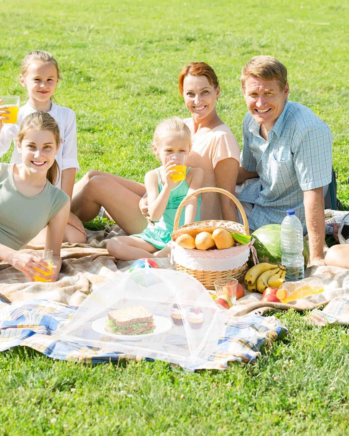 Lauon 6-Pack Pop-Up Mesh Food Covers (17 x 17 Inches) Collapsible Net Screen Tents