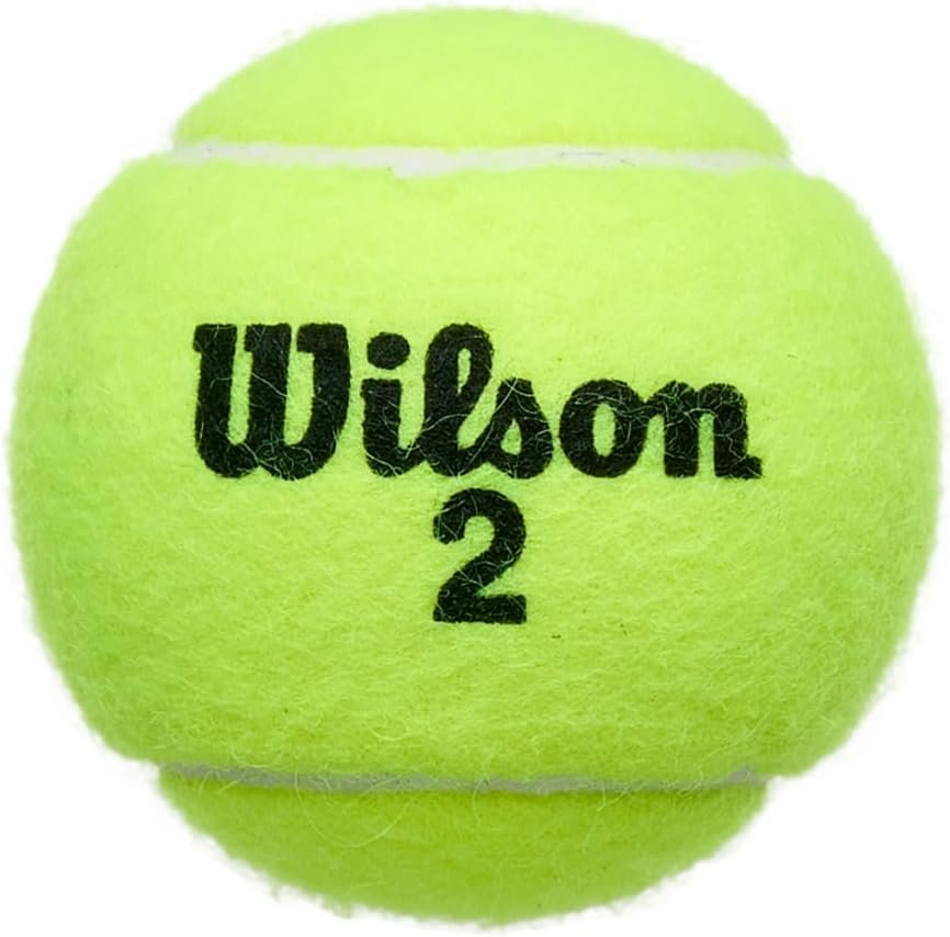Wilson Championship Extra Duty Tennis Balls (3-Ball Can)